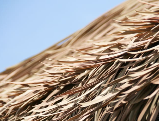 VIROTHATCH