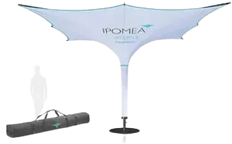 ipomea-simplex II