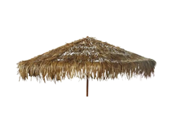 Mexican-Rain-Cape-image