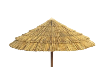 reed-image